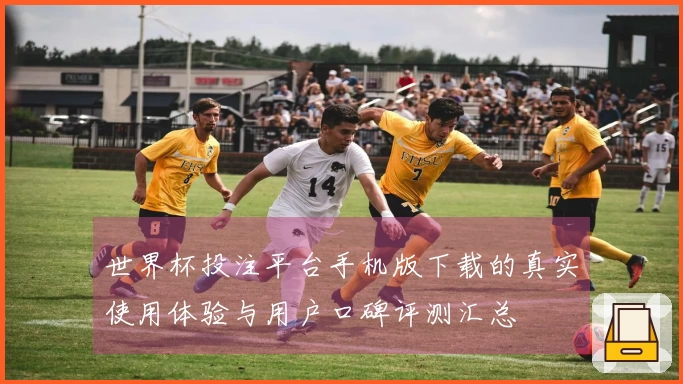 世界杯投注平台手机版下载的真实使用体验与用户口碑评测汇总