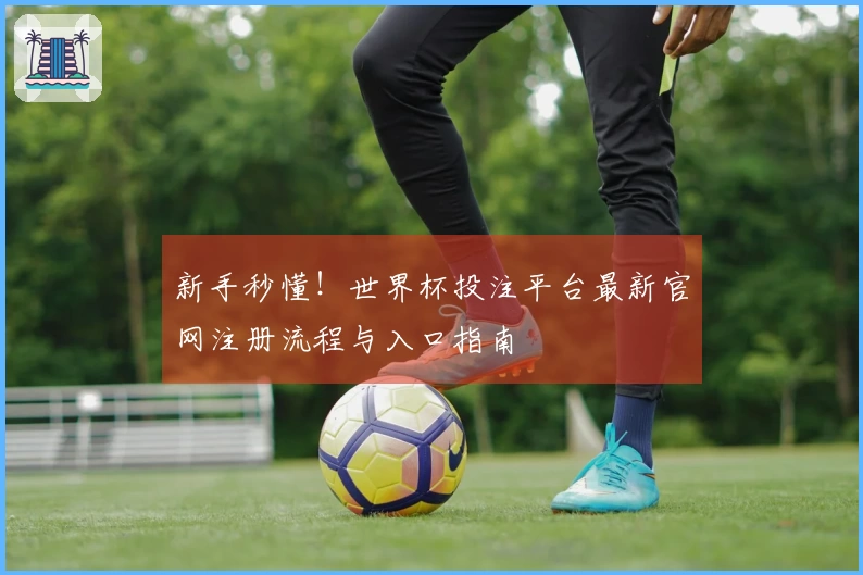 新手秒懂！世界杯投注平台最新官网注册流程与入口指南