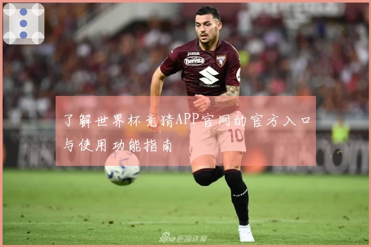 了解世界杯竞猜APP官网的官方入口与使用功能指南