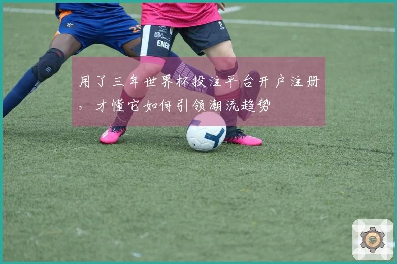 用了三年世界杯投注平台开户注册，才懂它如何引领潮流趋势