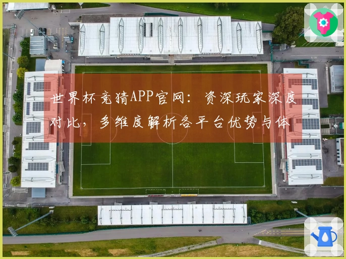 世界杯竞猜APP官网：资深玩家深度对比，多维度解析各平台优势与体验