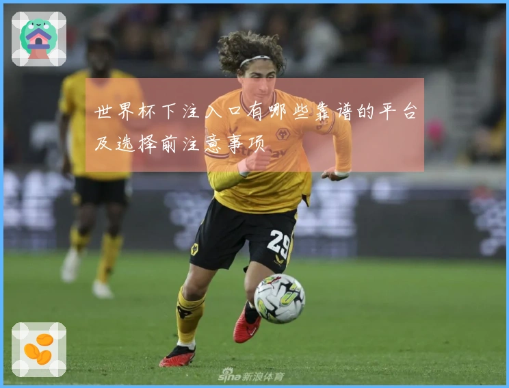 世界杯下注入口有哪些靠谱的平台及选择前注意事项