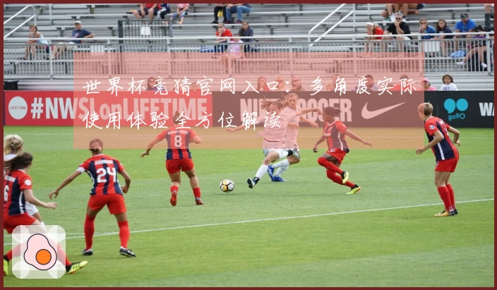 世界杯竞猜官网入口：多角度实际使用体验全方位解读