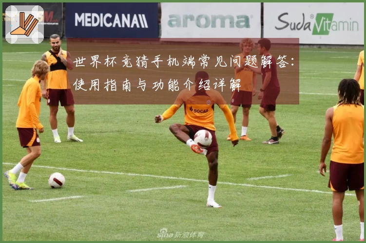世界杯竞猜手机端常见问题解答：使用指南与功能介绍详解