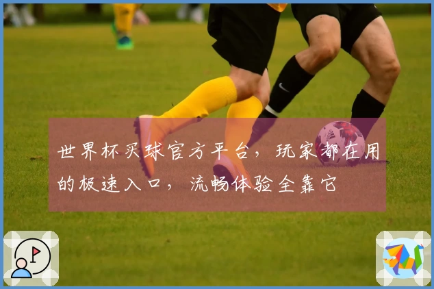 世界杯买球官方平台，玩家都在用的极速入口，流畅体验全靠它